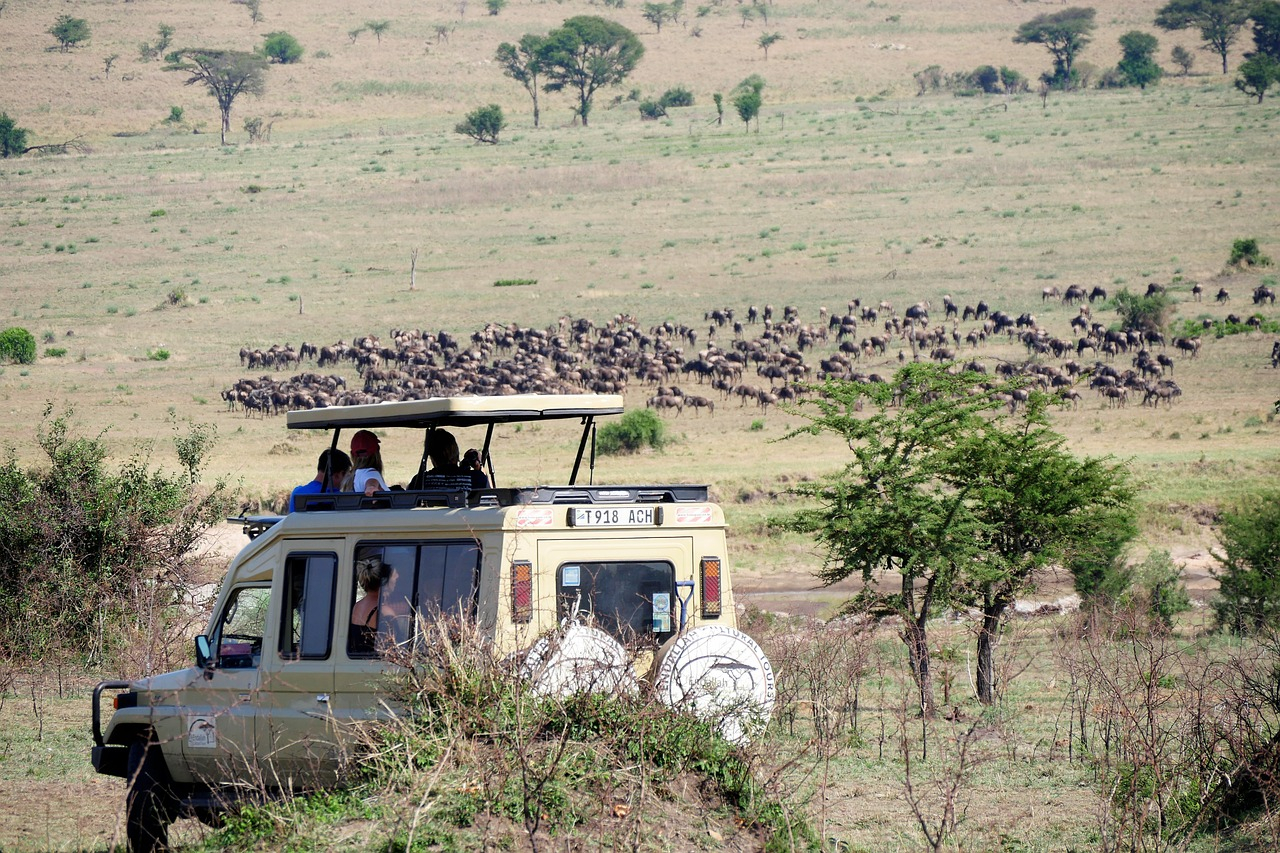 paysages iconiques Afrique